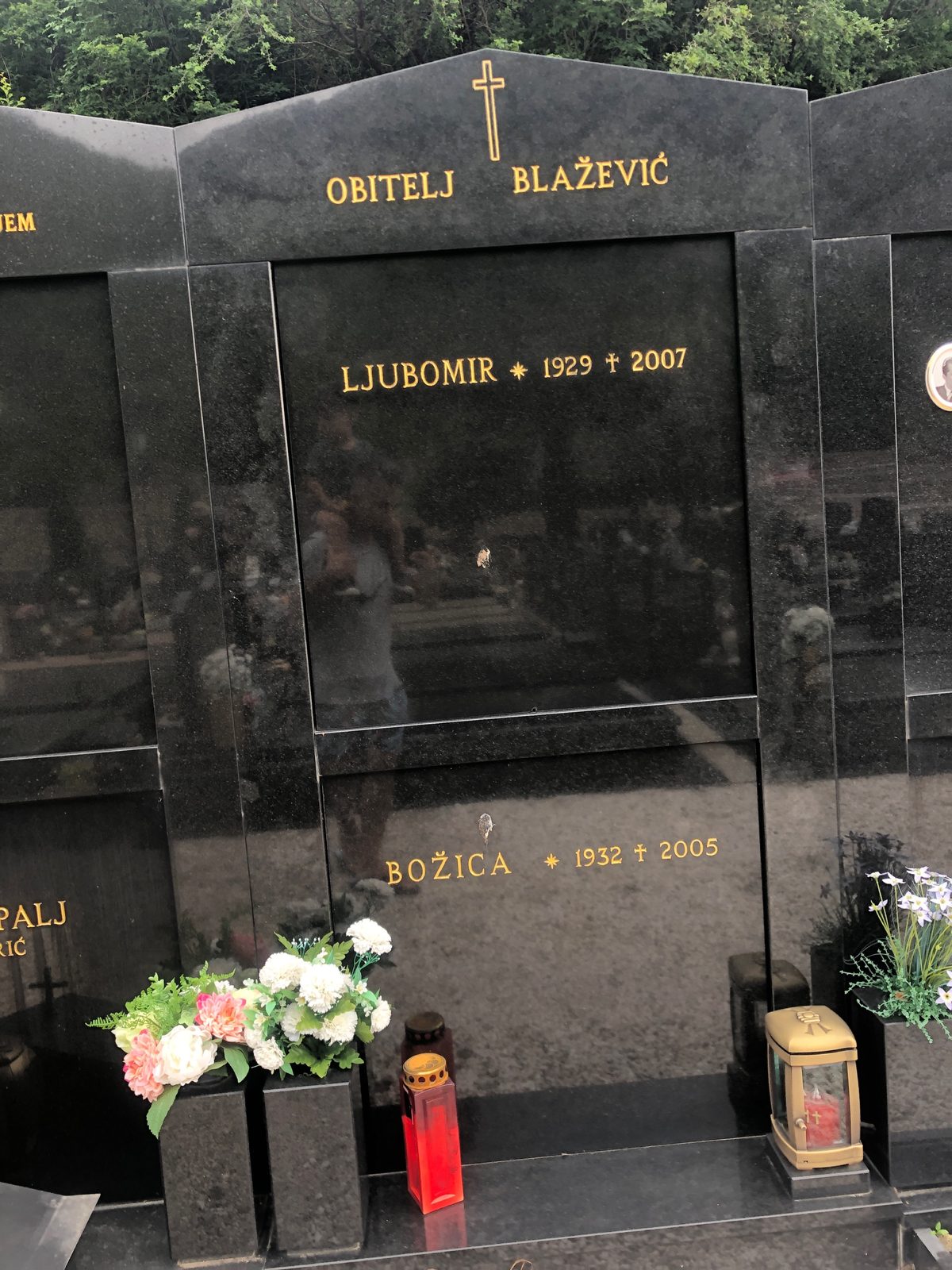 Ljubomir Grave Senj