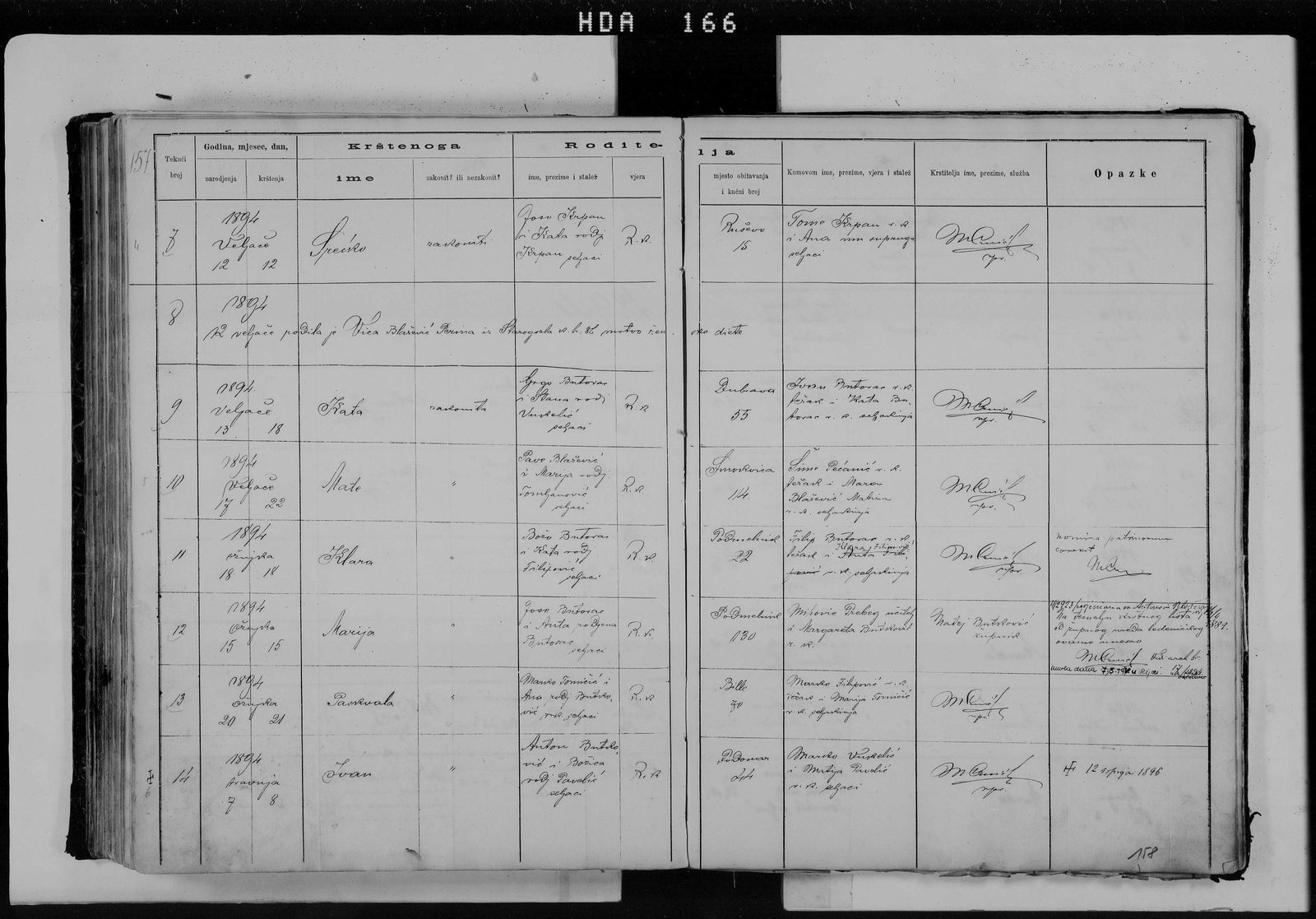 Mate Birth - 1894