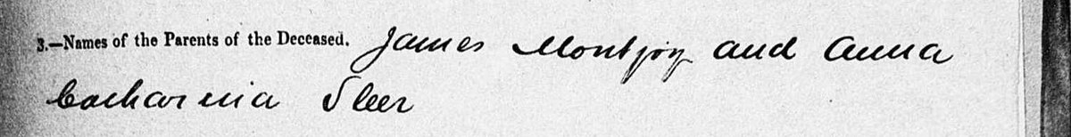 Line three of the 1863 death notice, reading James Montjoy and Anna Catharina Sleer.