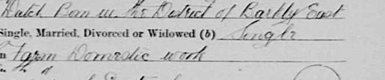 Questions four and five of the 1912 registration: age eighteen years five months and three days; race Dutch, born in the District of Barkly East.