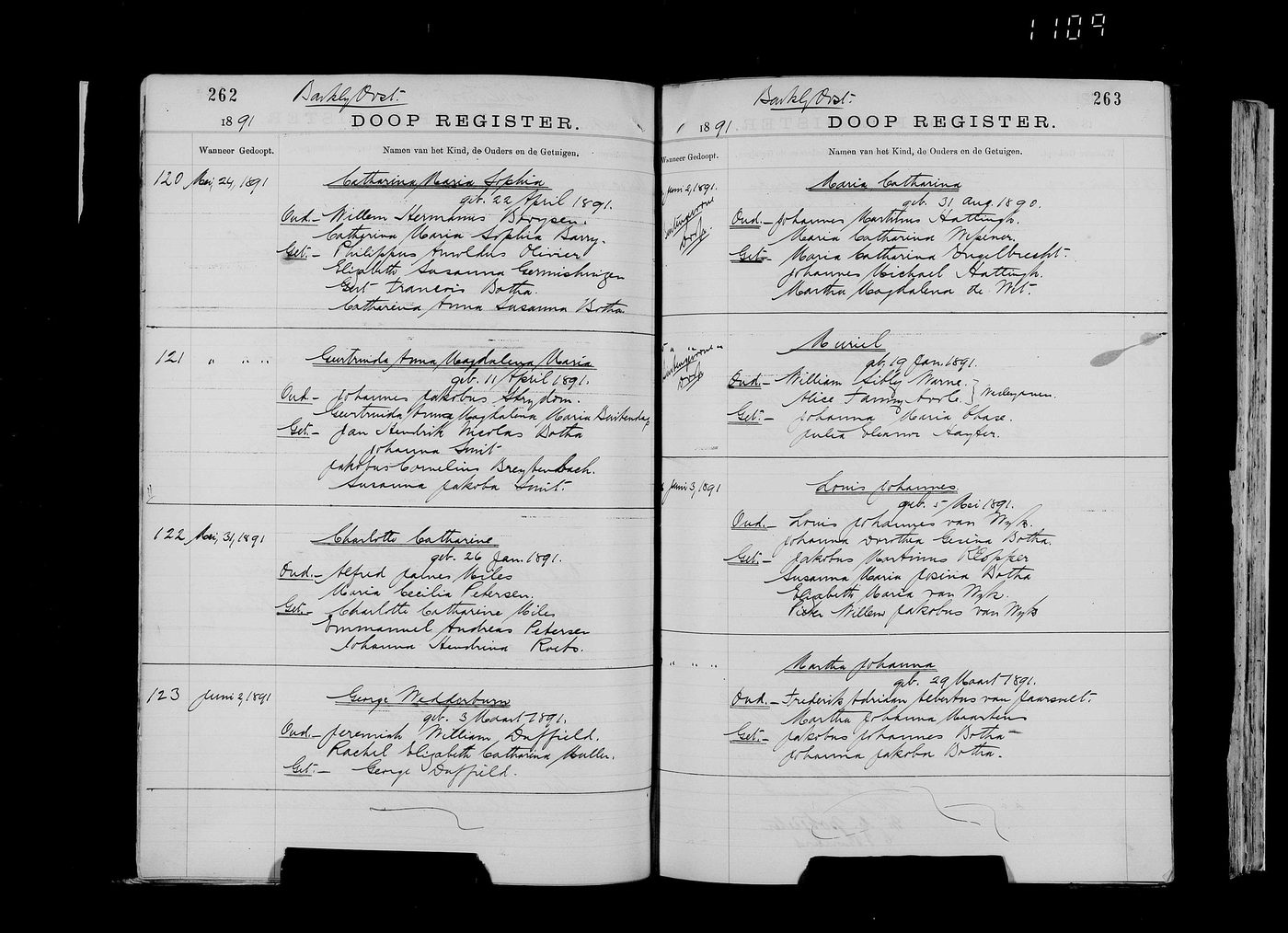 The Doop Register Barkly Oost opening for 1891, pages 262 and 263.