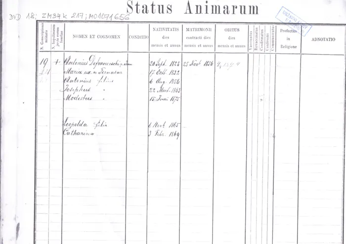 Status Animarum — house 19, Gallignana