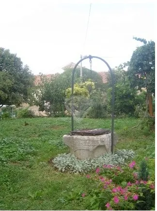 The well