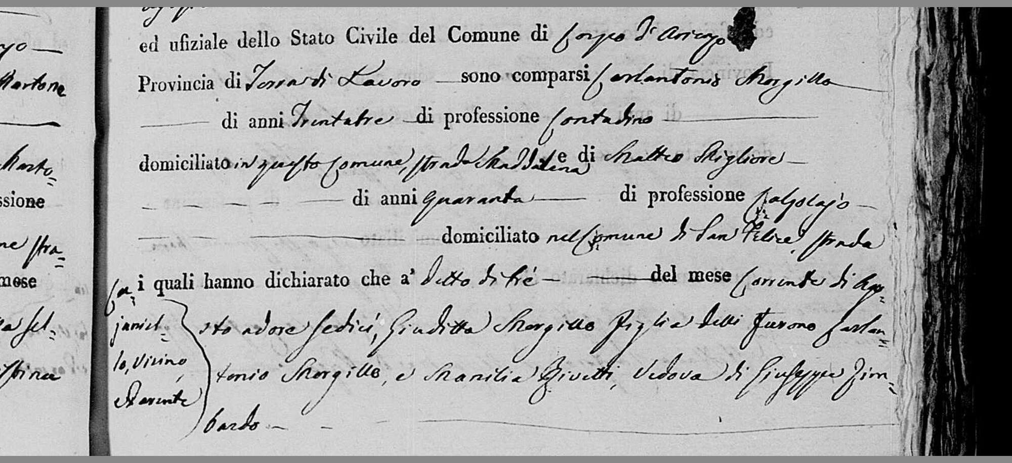 Carlantonio Morgillo declaring, 3 August 1818 — and a second Carlantonio