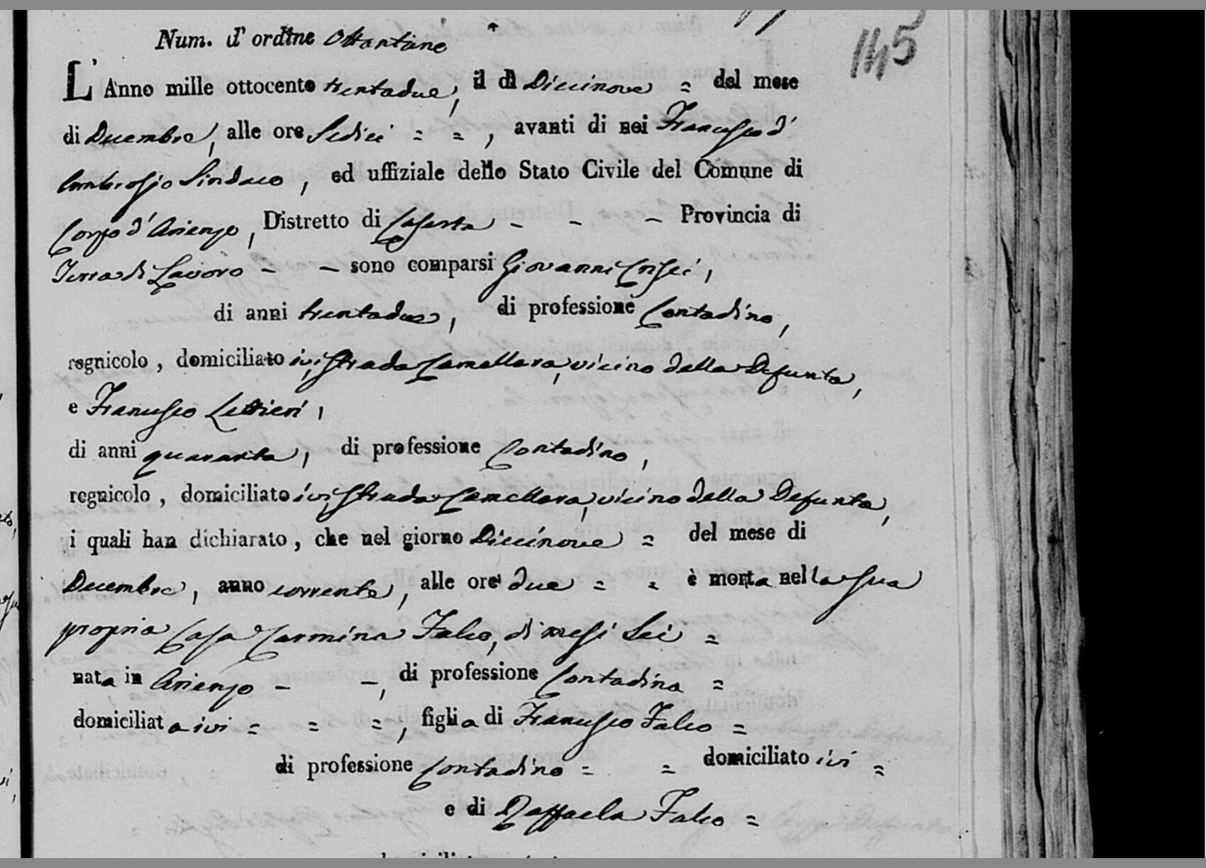 Carmina Falco, six months — 19 December 1832