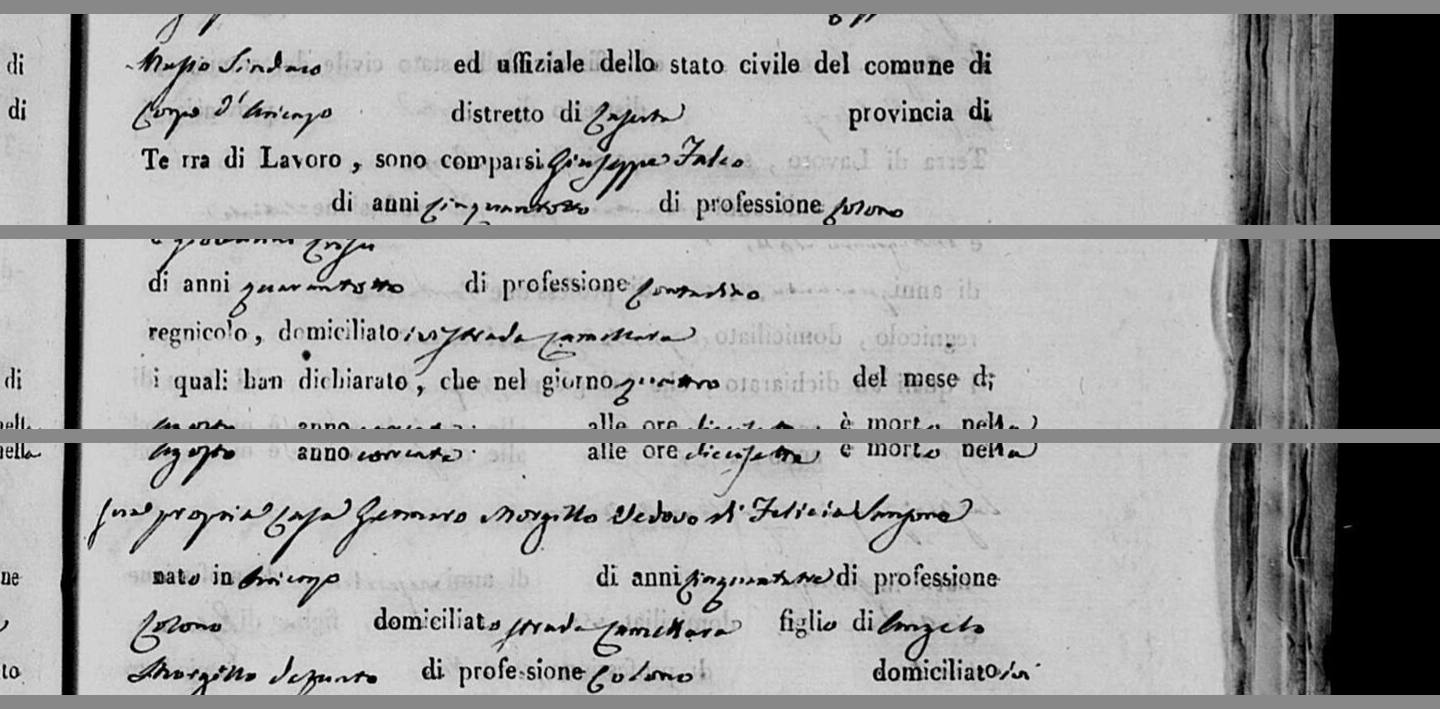 A Falco stands for a Morgillo, on strada Camellara — 14 August 1843