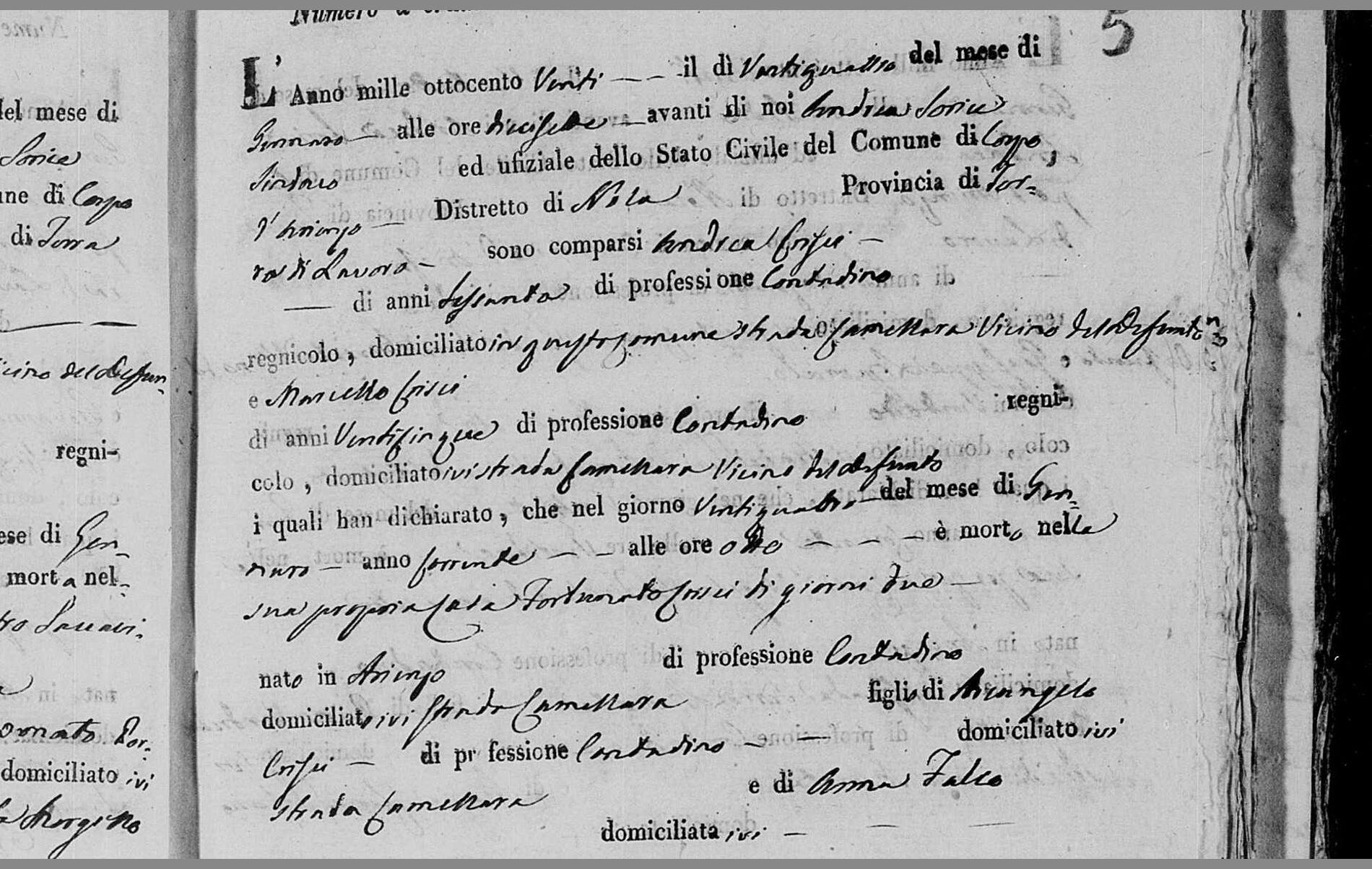 Fortunato Crisci, two days old — and the marriage of Arcangelo Crisci and Anna Falco