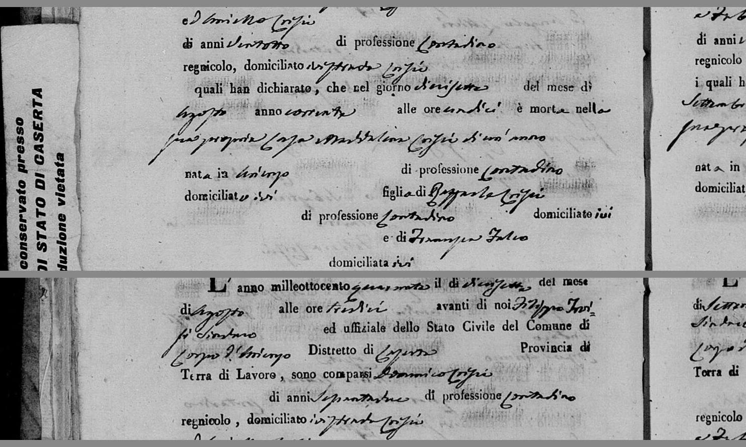 «figlia di RAFFAELE CIOFFI … e di FRANCESCA FALCO» — 17 August 1840