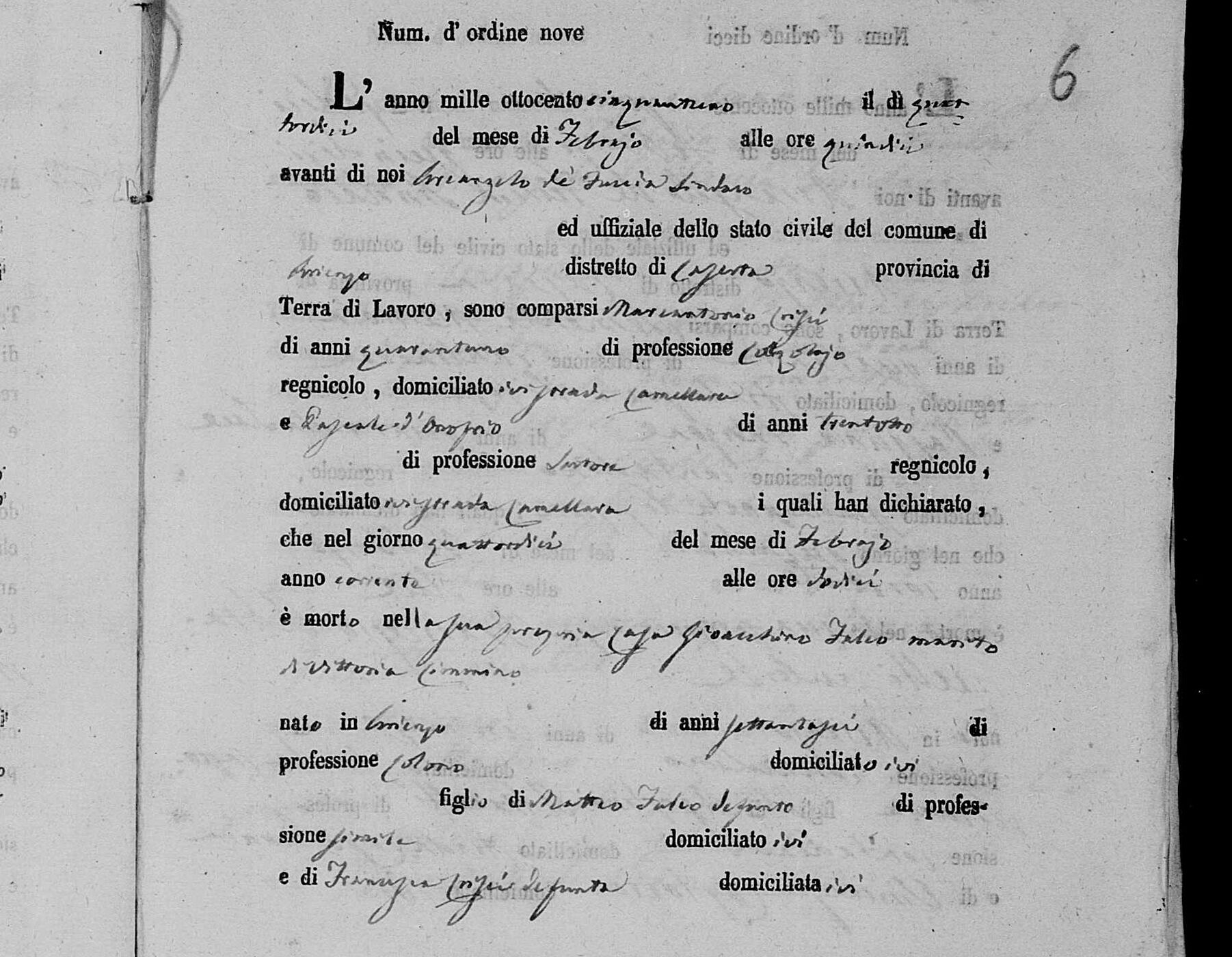 The death of Gioacchino Falco, 14 February 1851