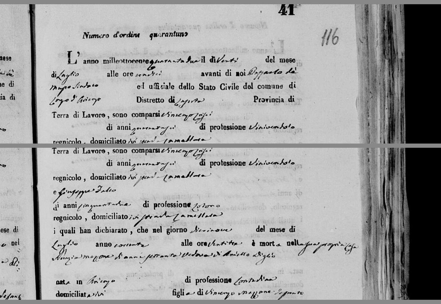 «e GIUSEPPE FALCO, di anni cinquantadue, COLONO, strada CAMELLARA» — 20 July 1842