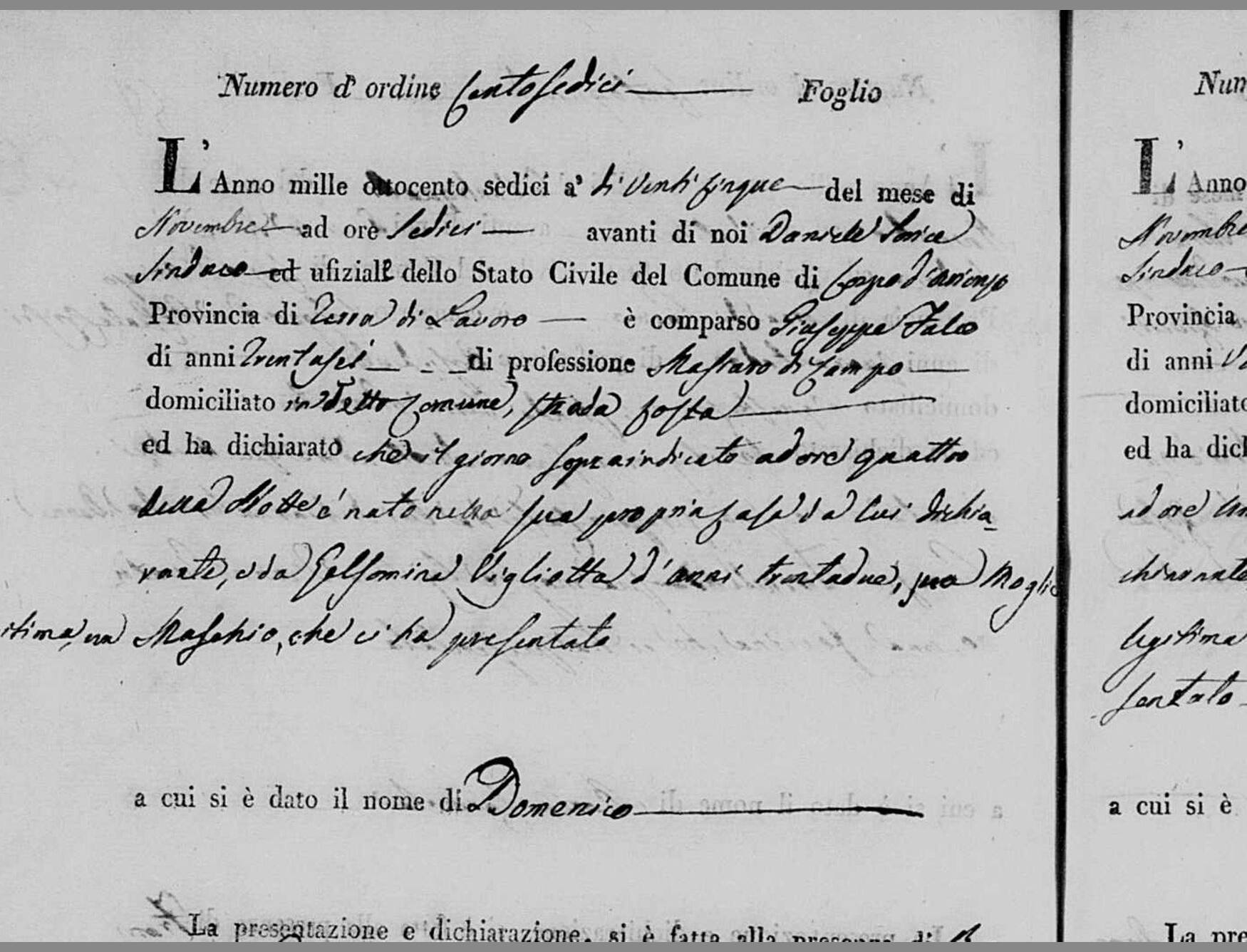 A second Giuseppe Falco — 25 November 1816