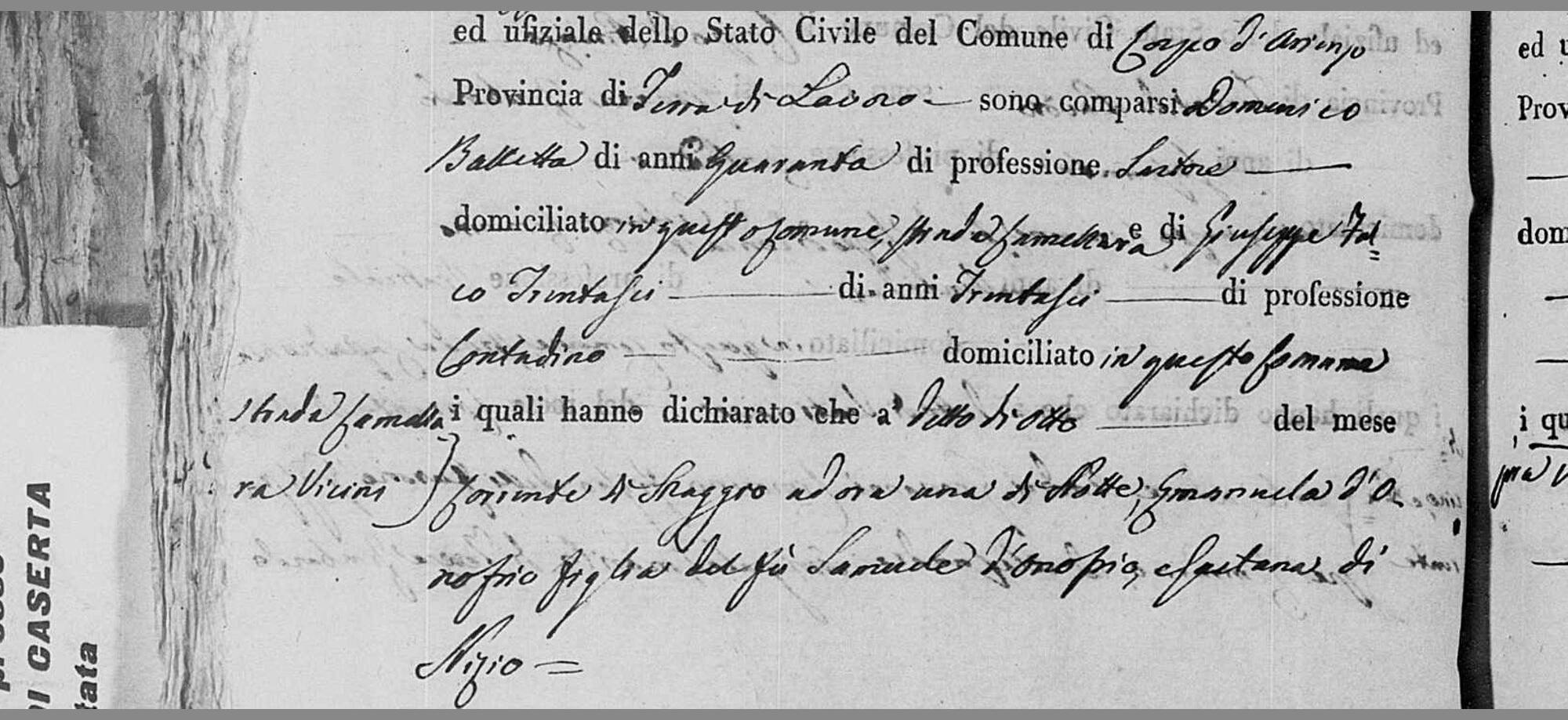 Giuseppe Falco of strada Camellara, declaring, 8 May 1818
