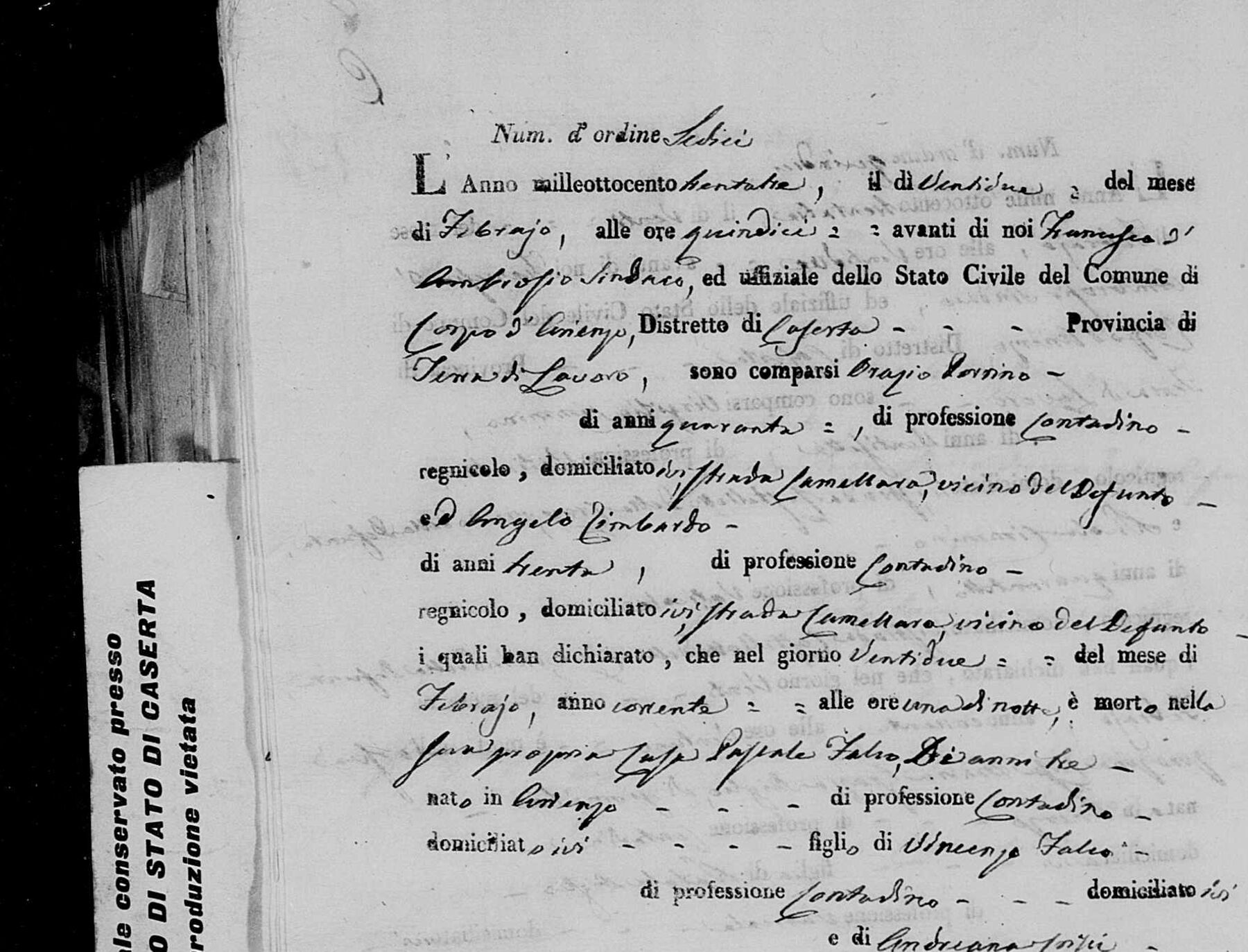 Pasquale Falco, aged three — 22 February 1833