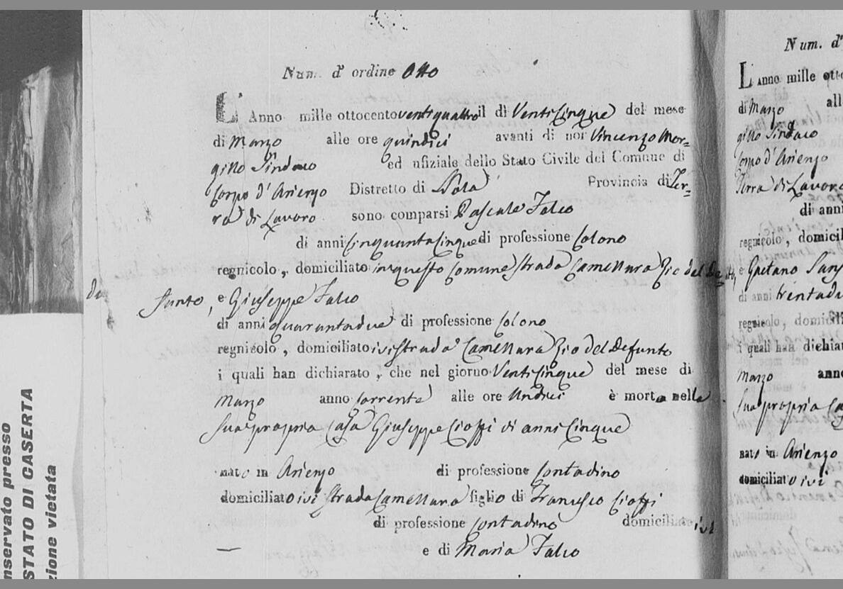 Pasquale Falco and his brother Giuseppe, 25 March 1824 — the ancestor acting for himself