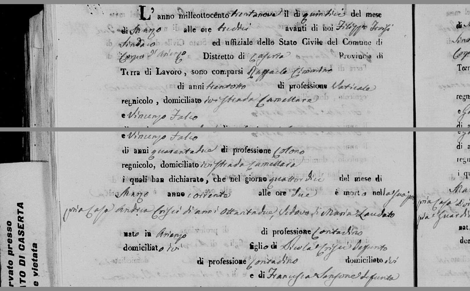 «e VINCENZO FALCO, di anni quarantadue, di professione COLONO, strada CAMELLARA» — 15 March 1839