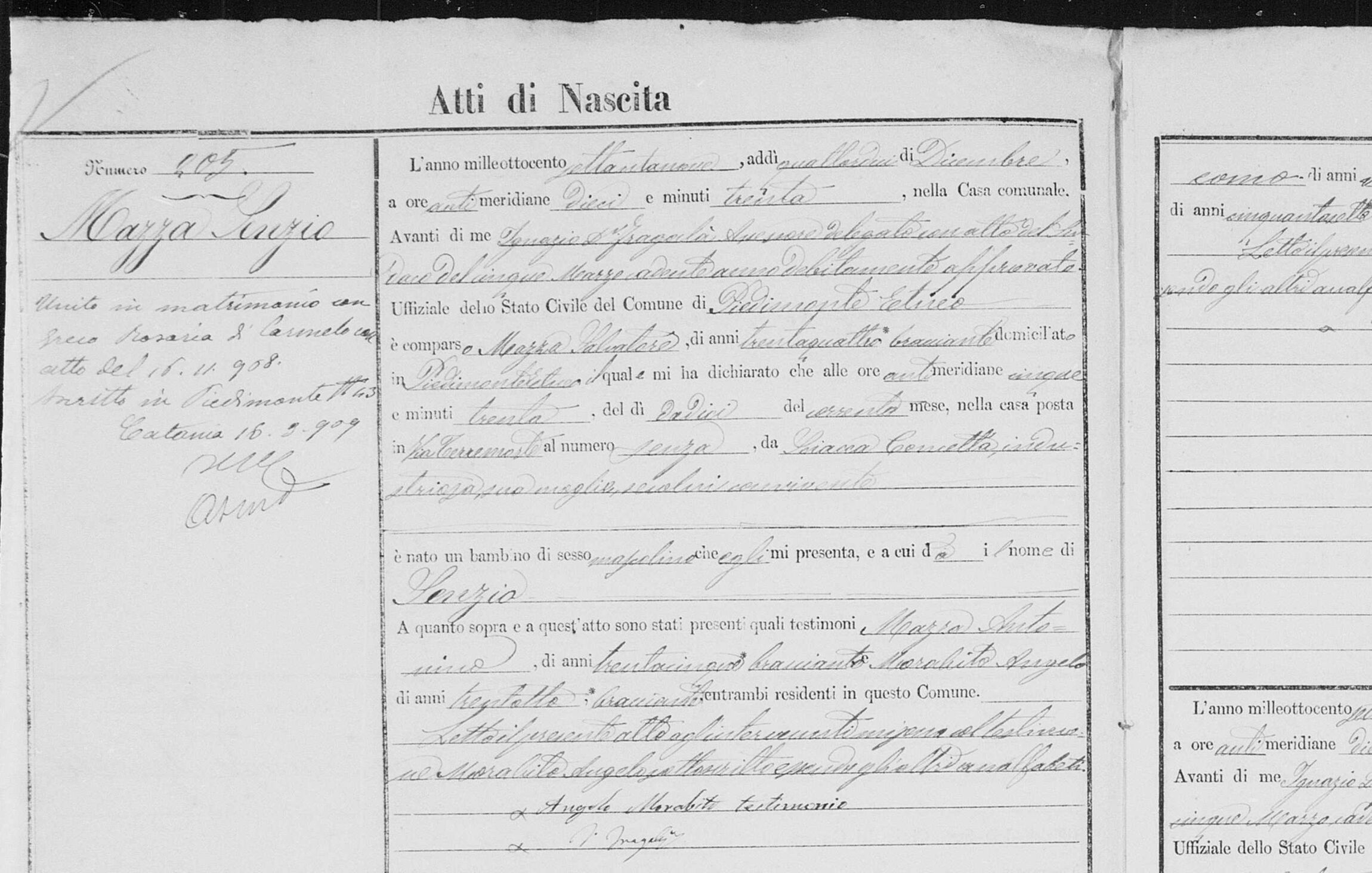 Act 205, 1879 — the birth of Venerio Mazza to Salvatore Mazza, 34, and Concetta Sciacca
